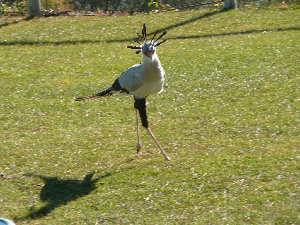 No s'ha trobat l'arxiu